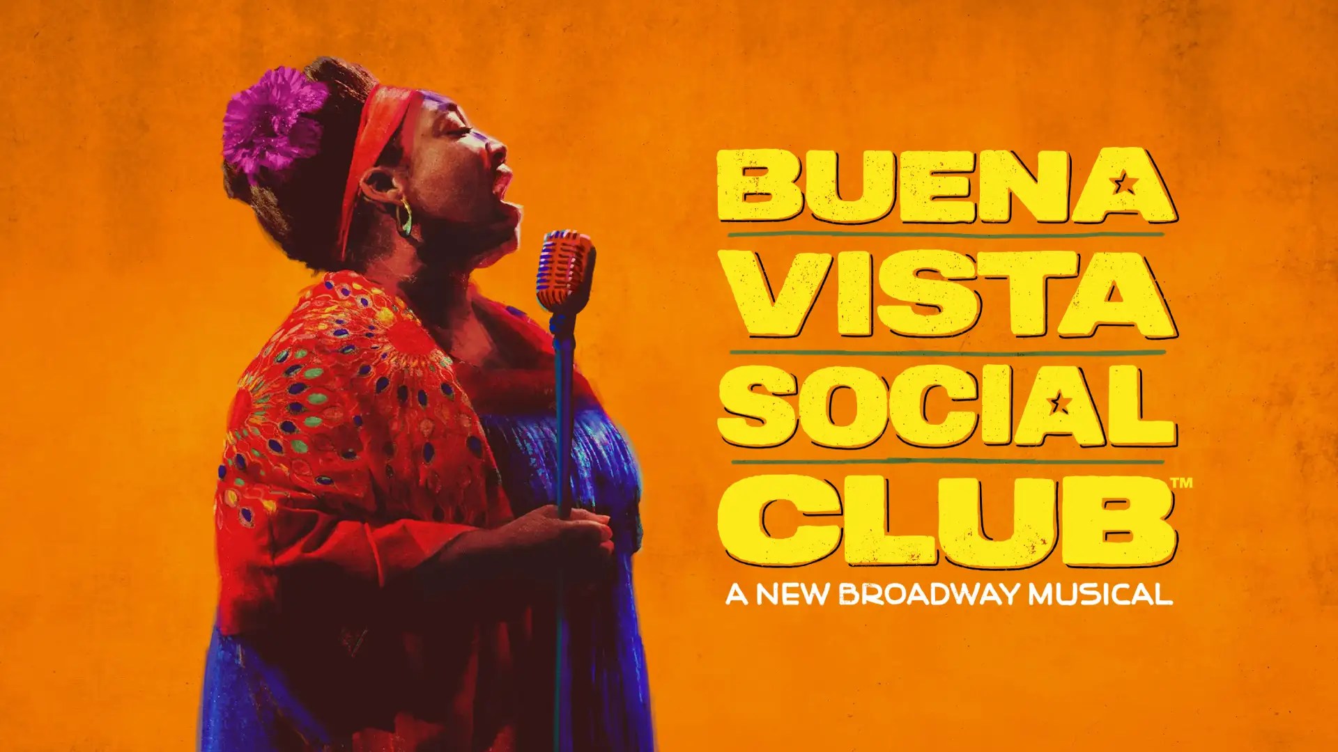 Buena Vista Social Club poster